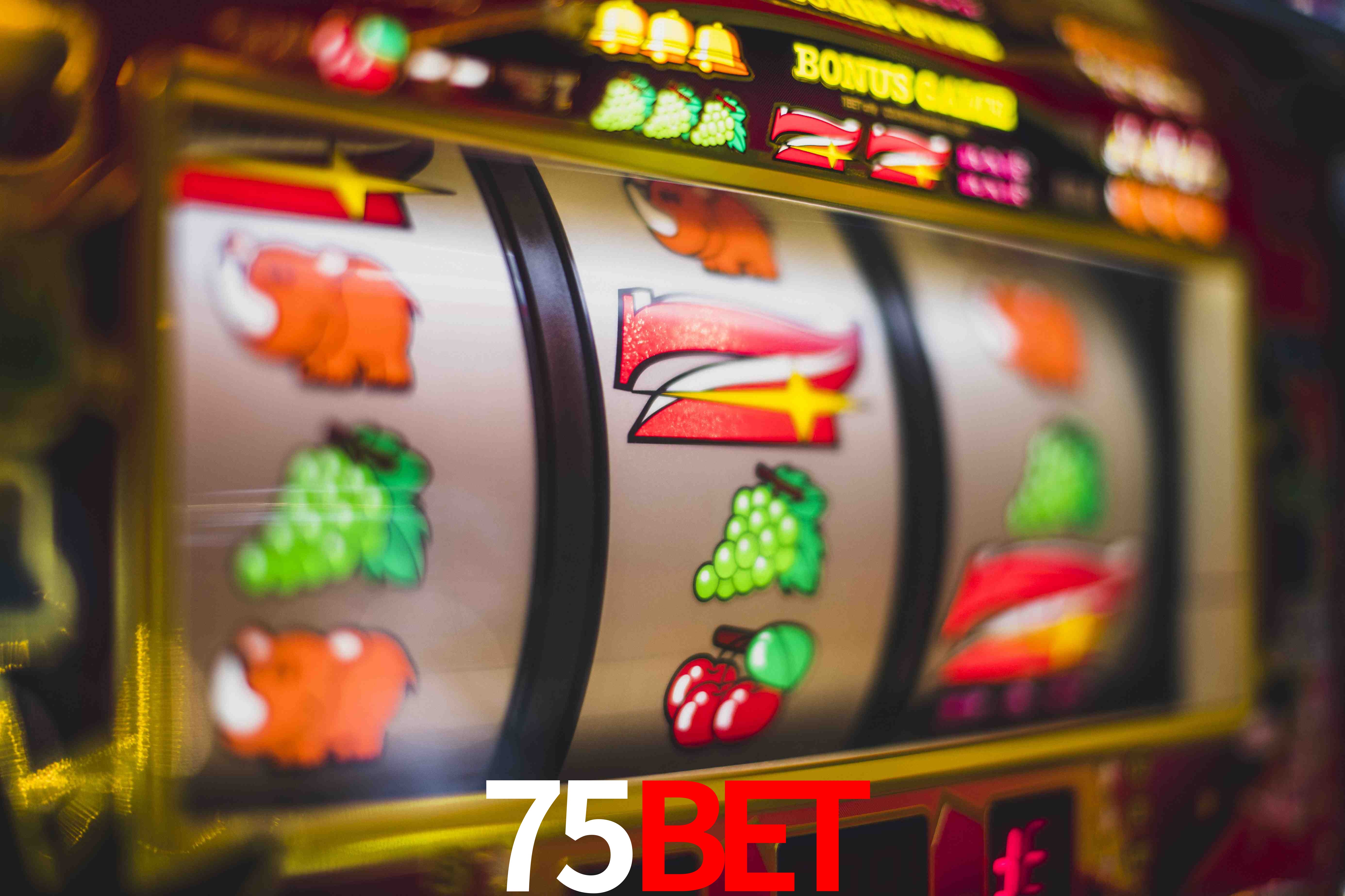 Crash Games Statistics 75bet